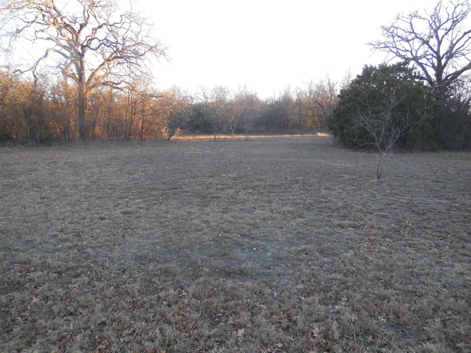 1300 Highway 571 Ranger TX 76470