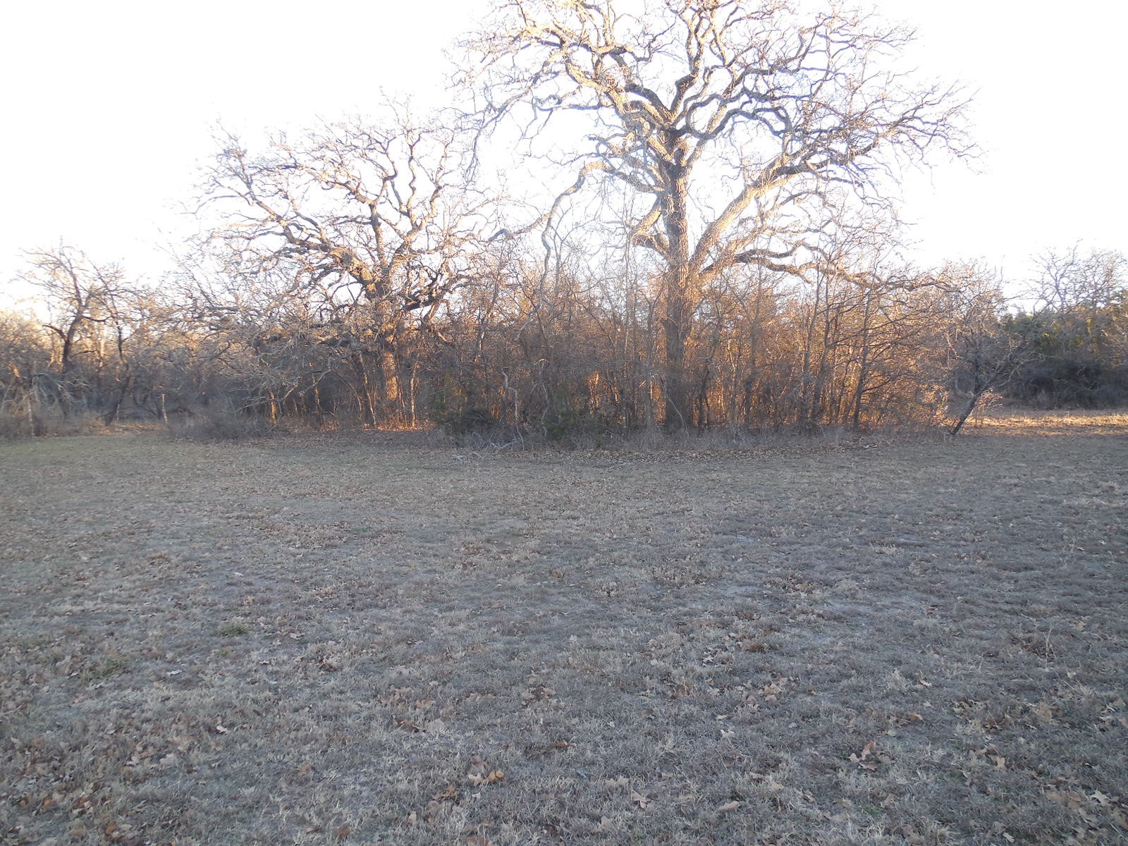 1300 Highway 571 Ranger TX 76470