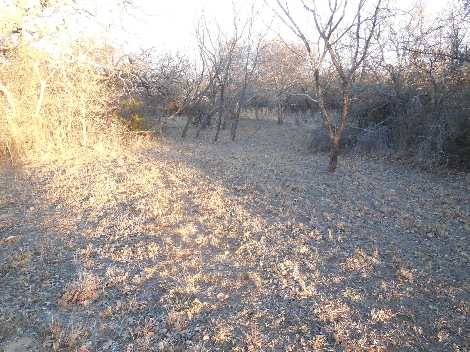 1300 Highway 571 Ranger TX 76470