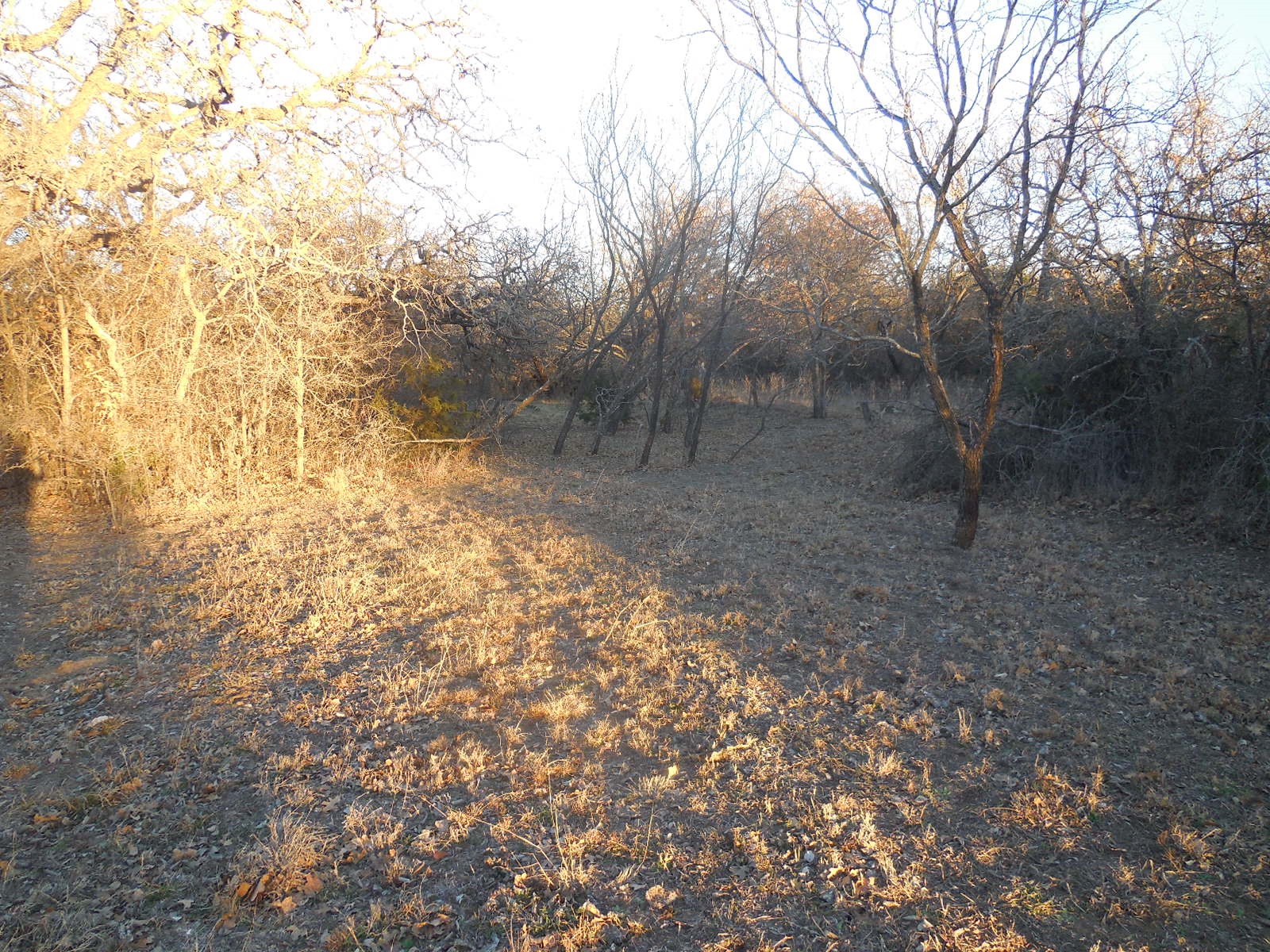 1300 Highway 571 Ranger TX 76470