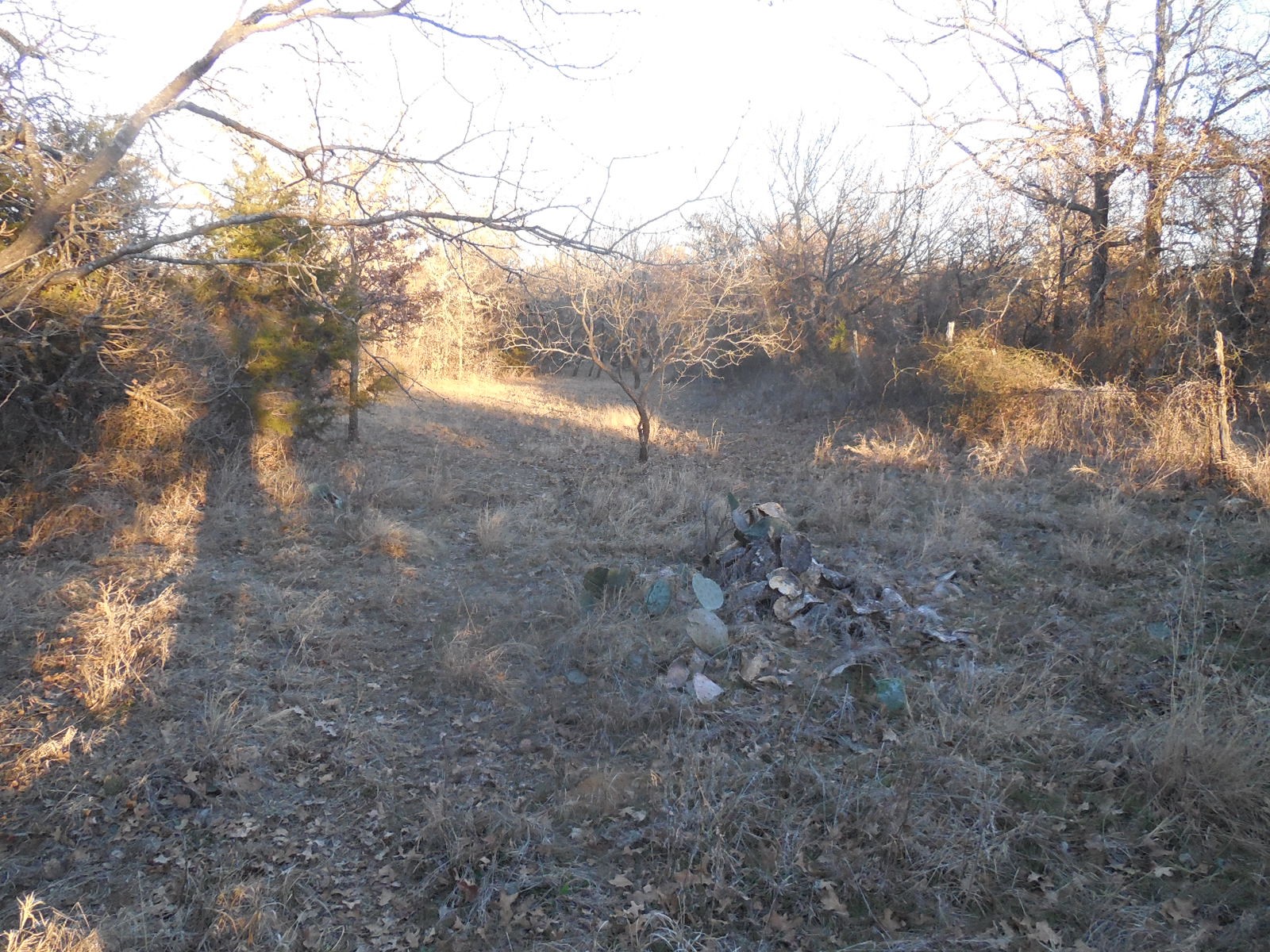 1300 Highway 571 Ranger TX 76470