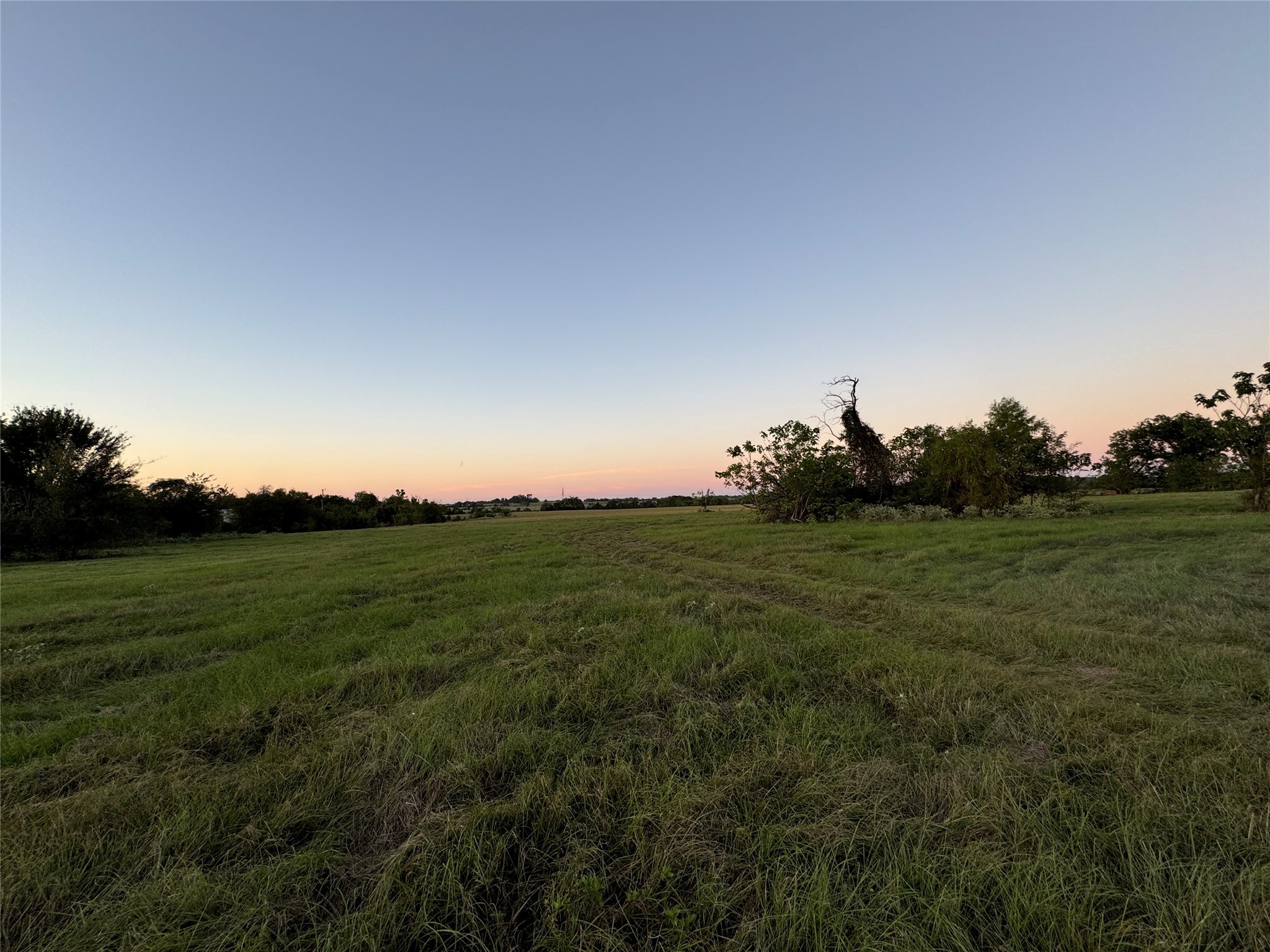 Tbd Fm-1651 Canton TX 75103