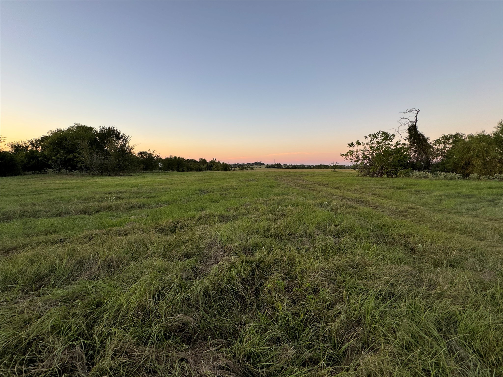 Tbd Fm-1651 Canton TX 75103