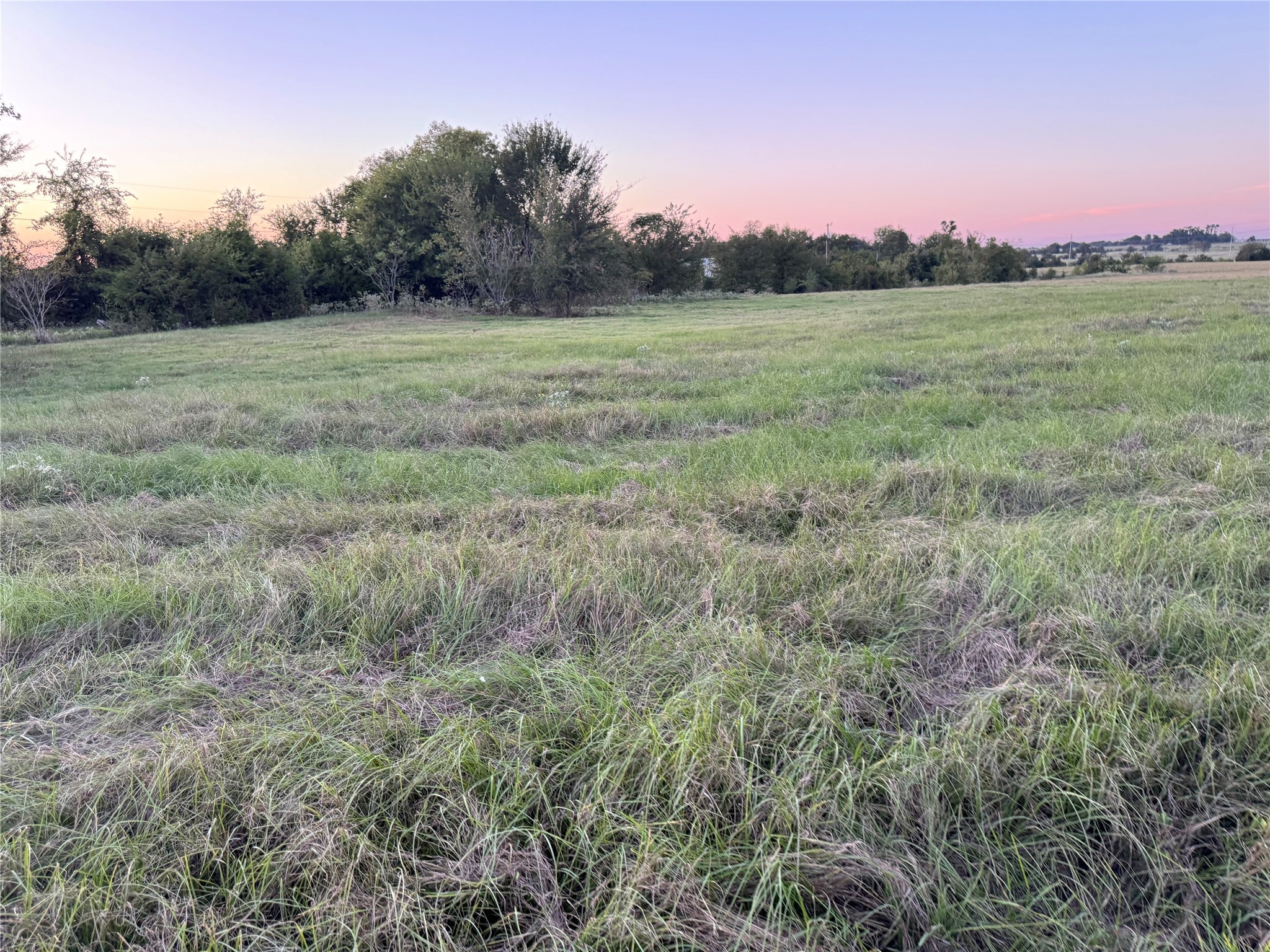 Tbd Fm-1651 Canton TX 75103