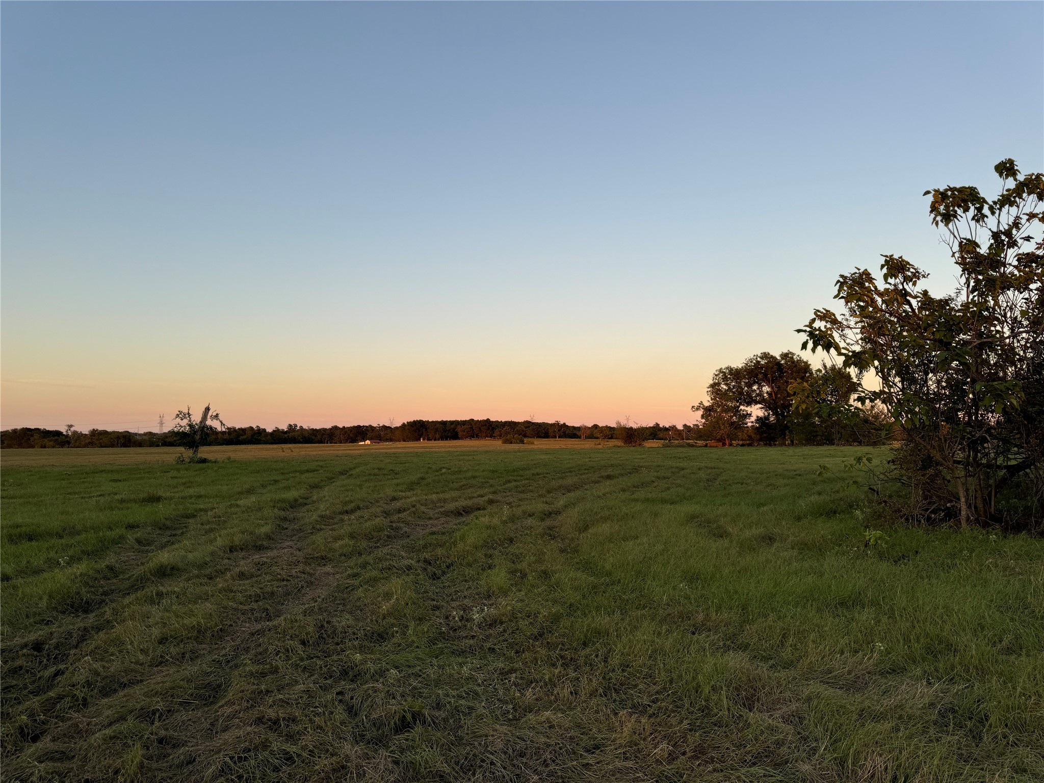 Tbd Fm-1651 Canton TX 75103
