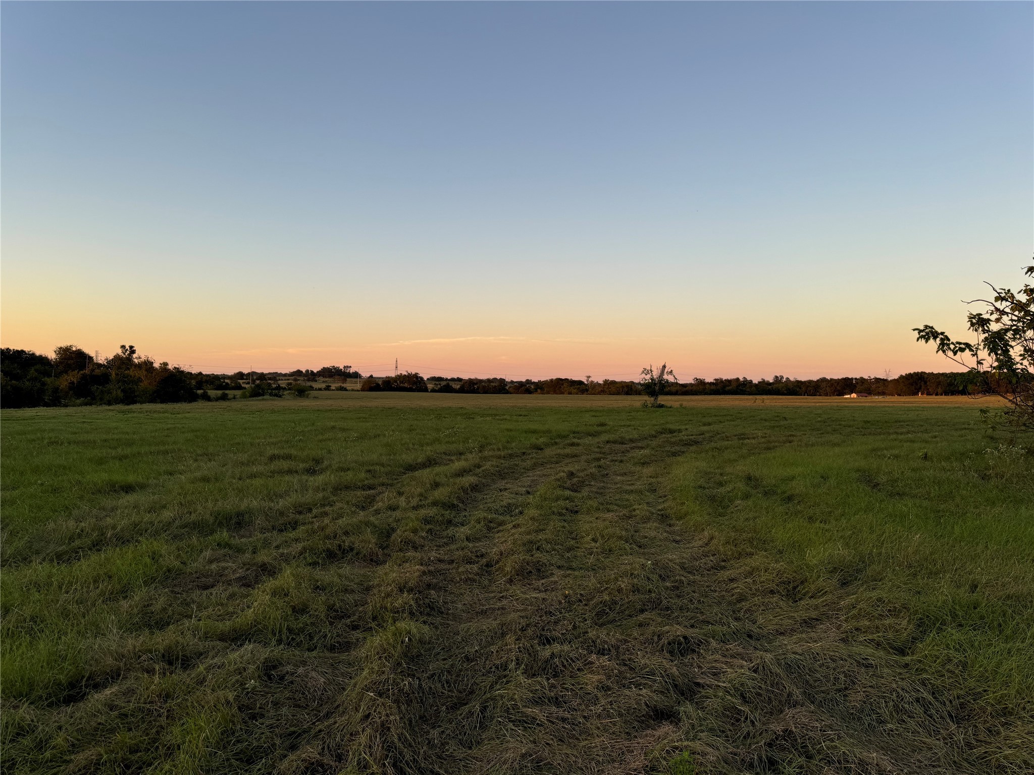 Tbd Fm-1651 Canton TX 75103