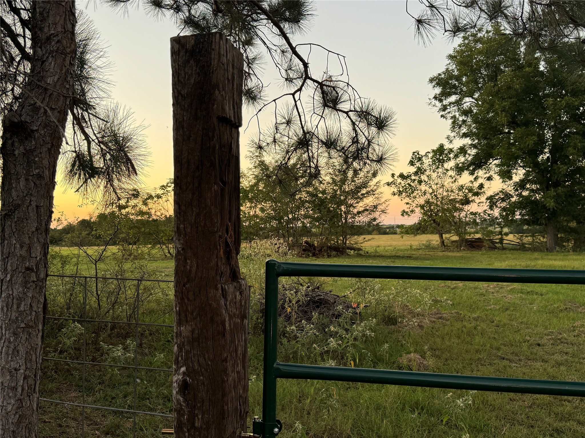 Tbd Fm-1651 Canton TX 75103