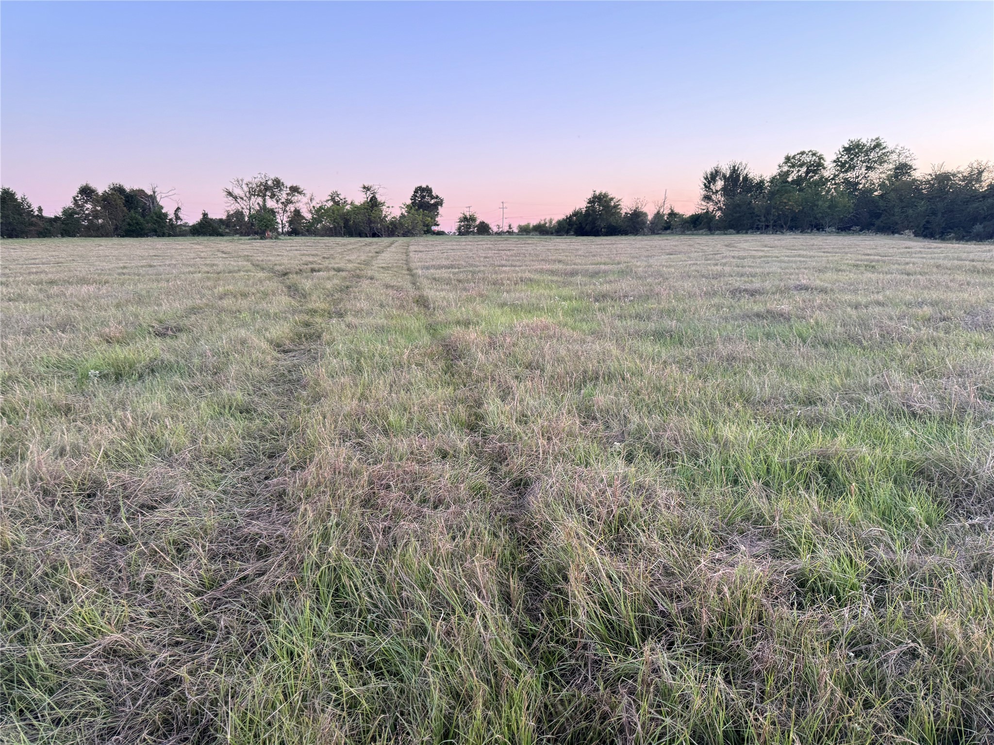 Tbd Fm-1651 Canton TX 75103