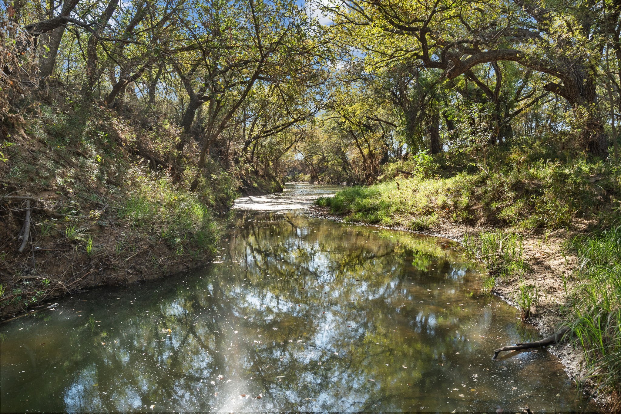 Tbd County Road 136 Coleman TX 76834
