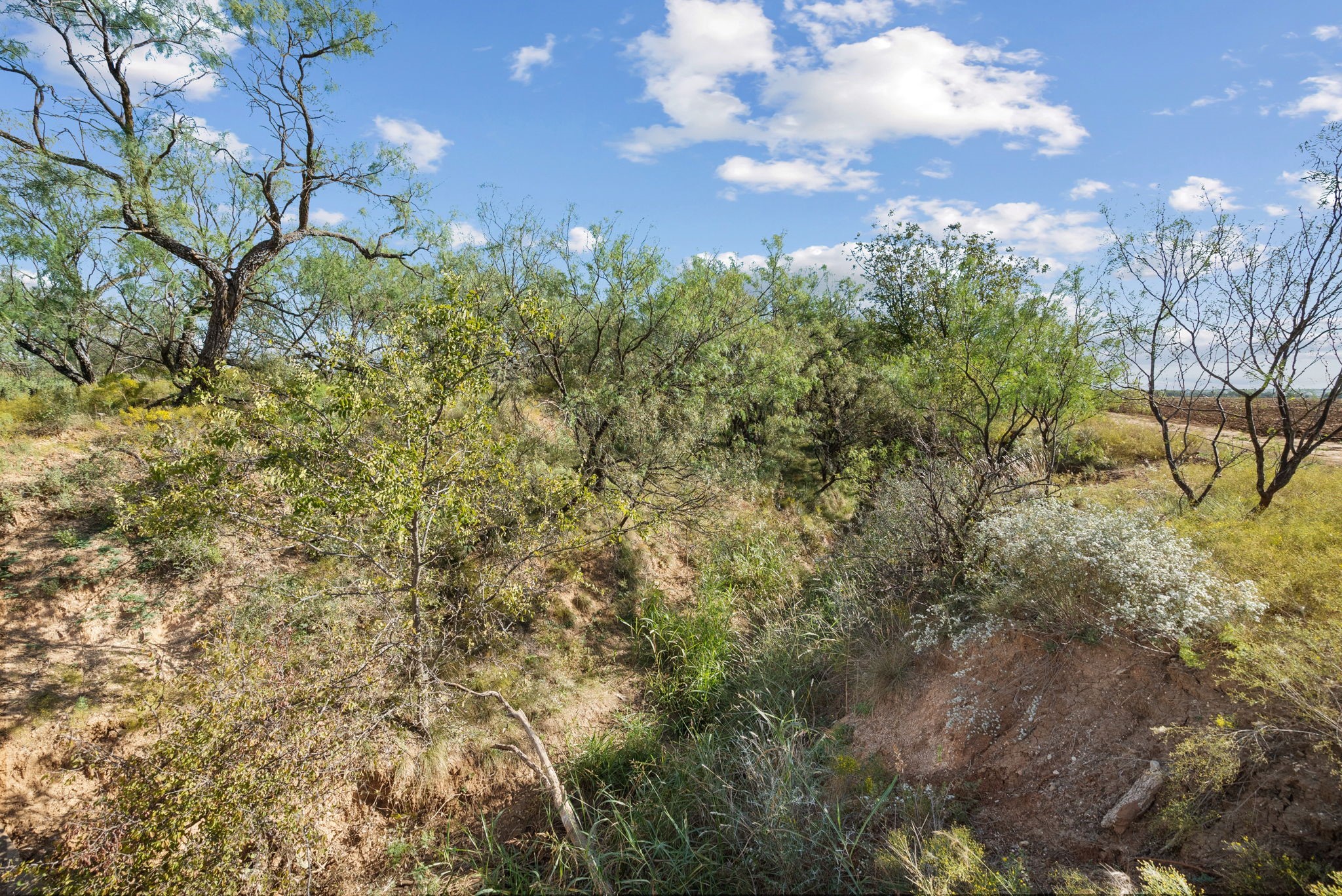 Tbd County Road 136 Coleman TX 76834