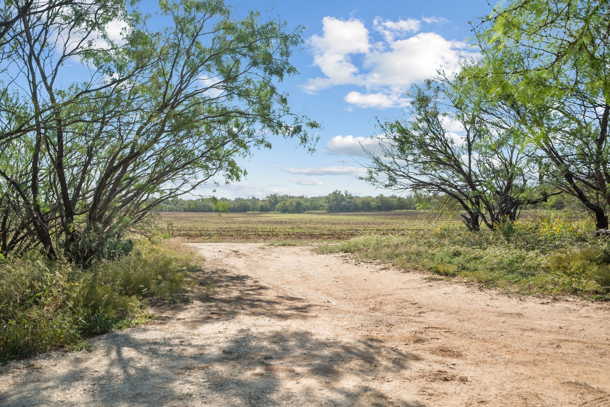 Tbd County Road 136 Coleman TX 76834