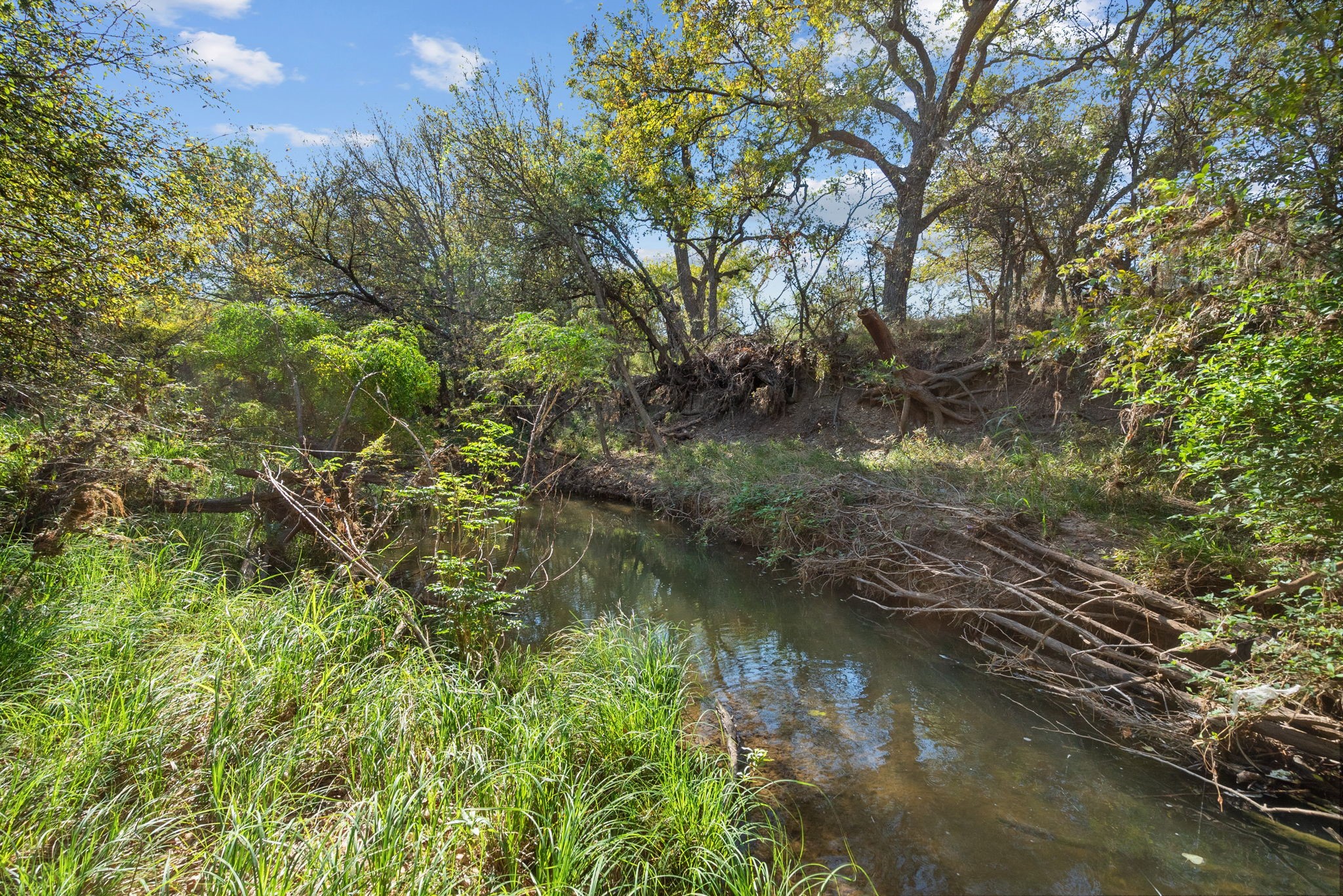 Tbd County Road 136 Coleman TX 76834