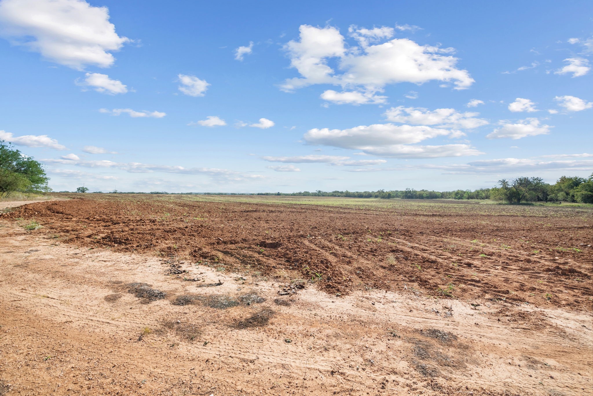Tbd County Road 136 Coleman TX 76834