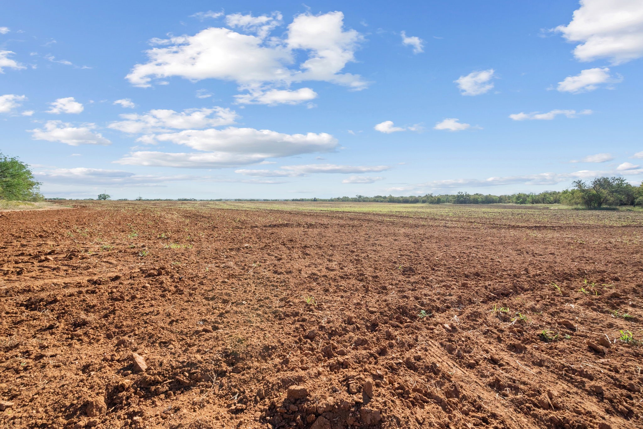 Tbd County Road 136 Coleman TX 76834