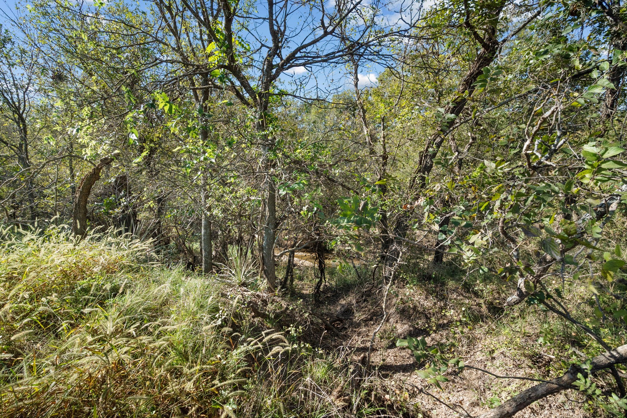 Tbd County Road 136 Coleman TX 76834