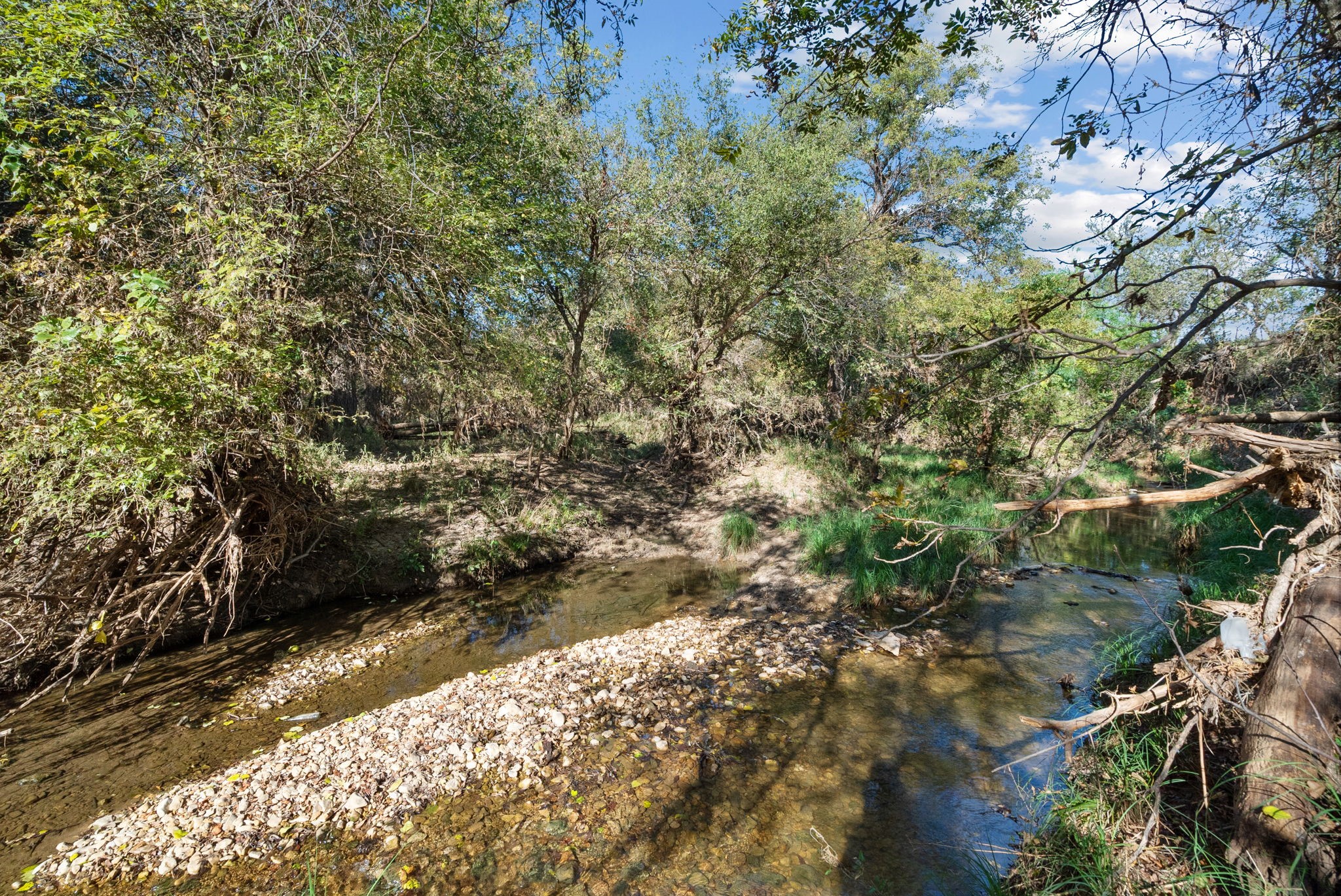 Tbd County Road 136 Coleman TX 76834