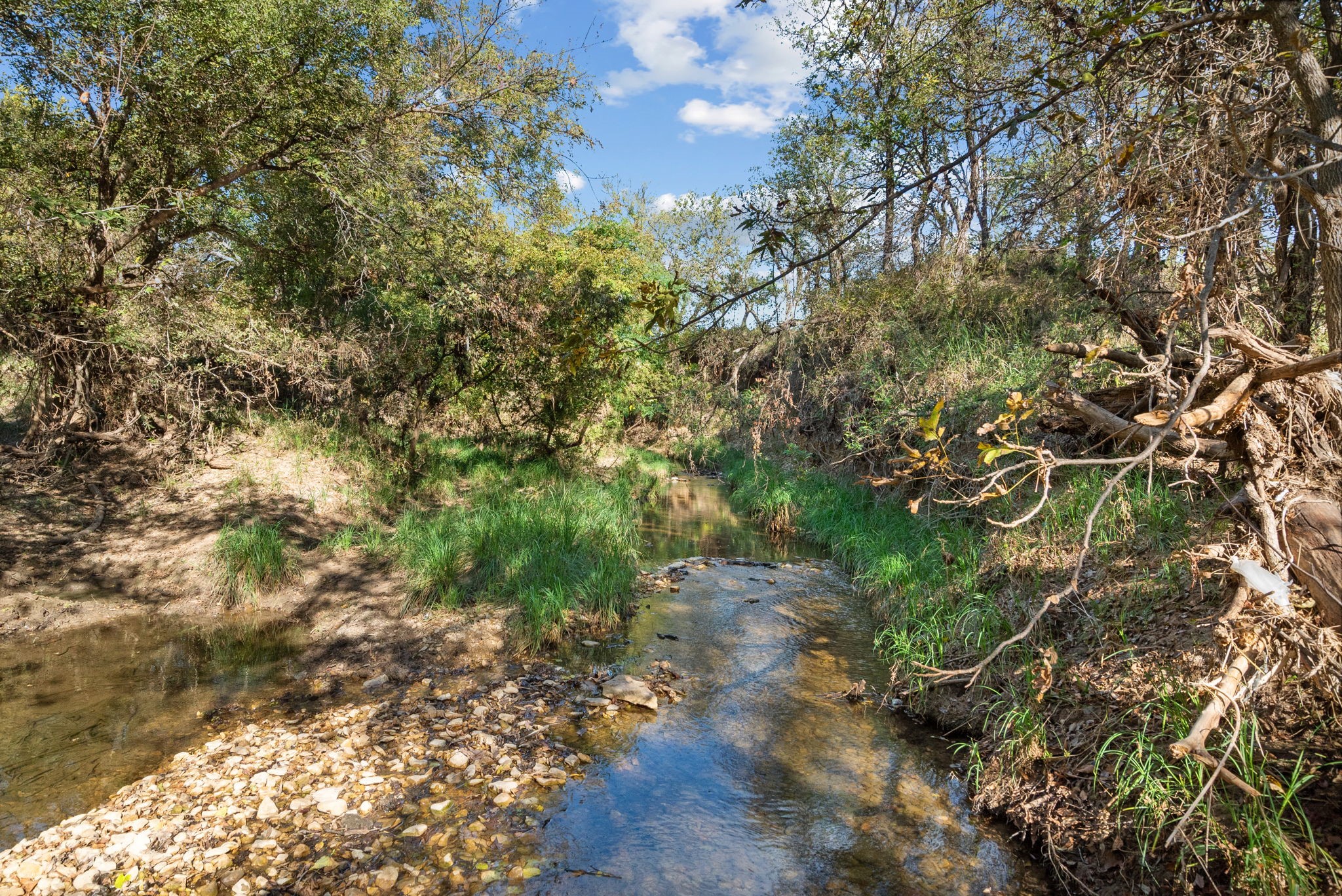 Tbd County Road 136 Coleman TX 76834