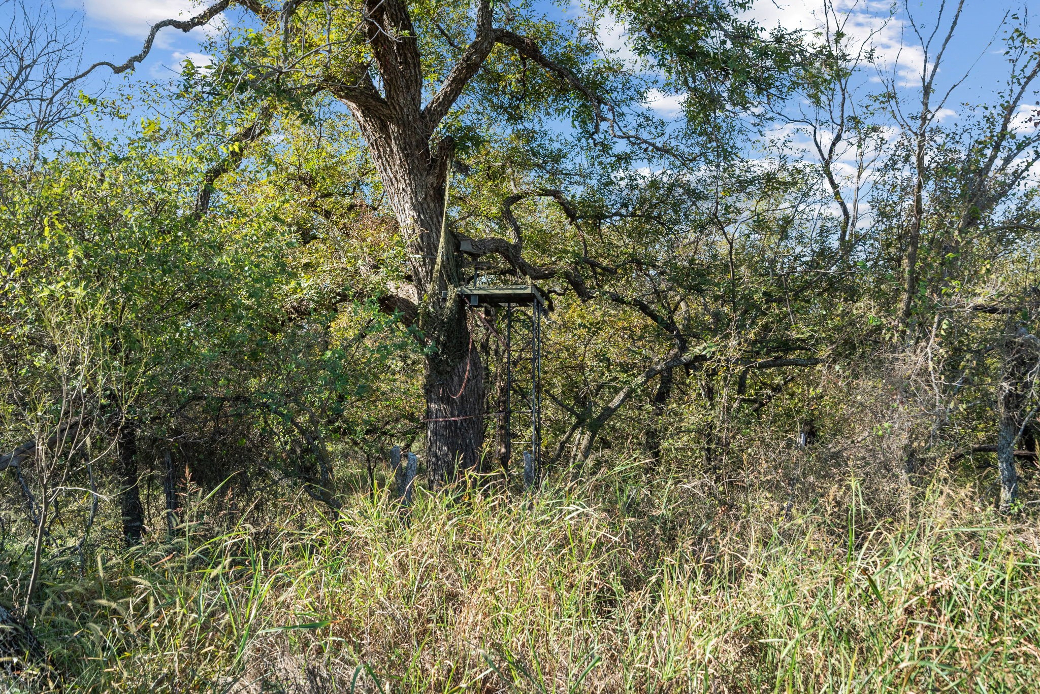 Tbd County Road 136 Coleman TX 76834