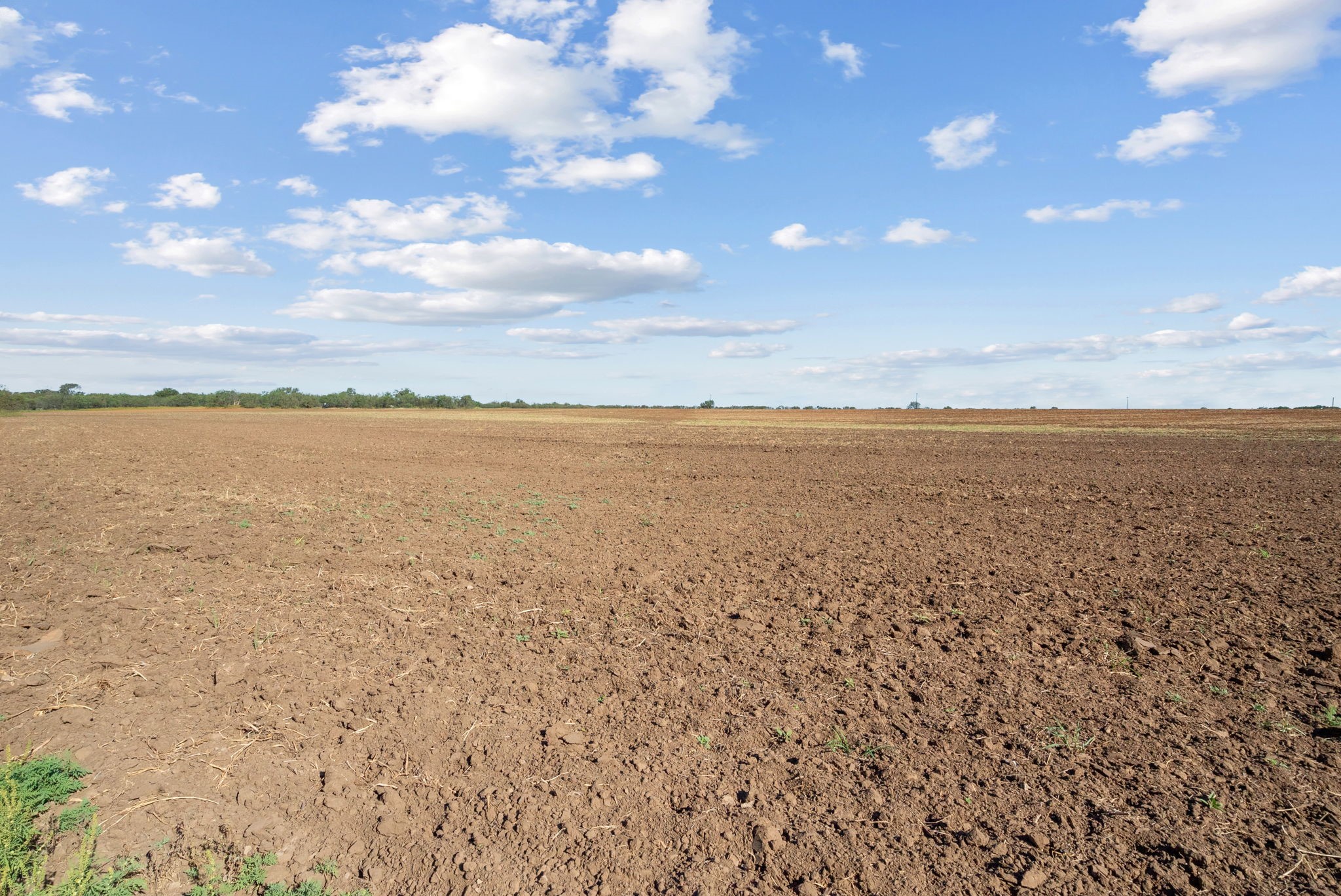 Tbd County Road 136 Coleman TX 76834