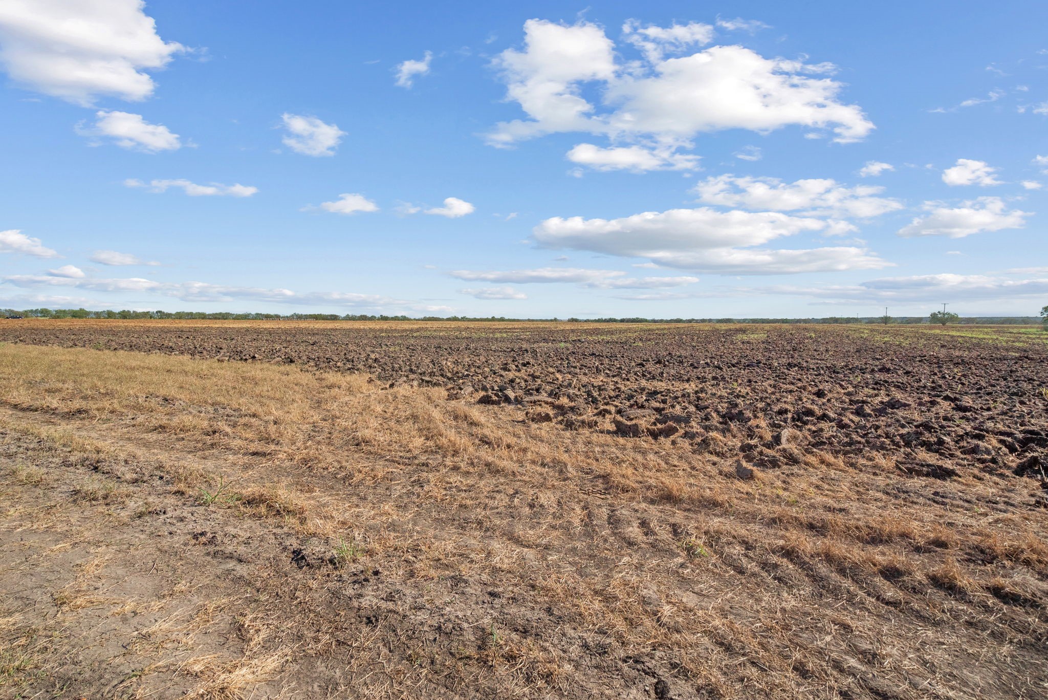 Tbd County Road 136 Coleman TX 76834