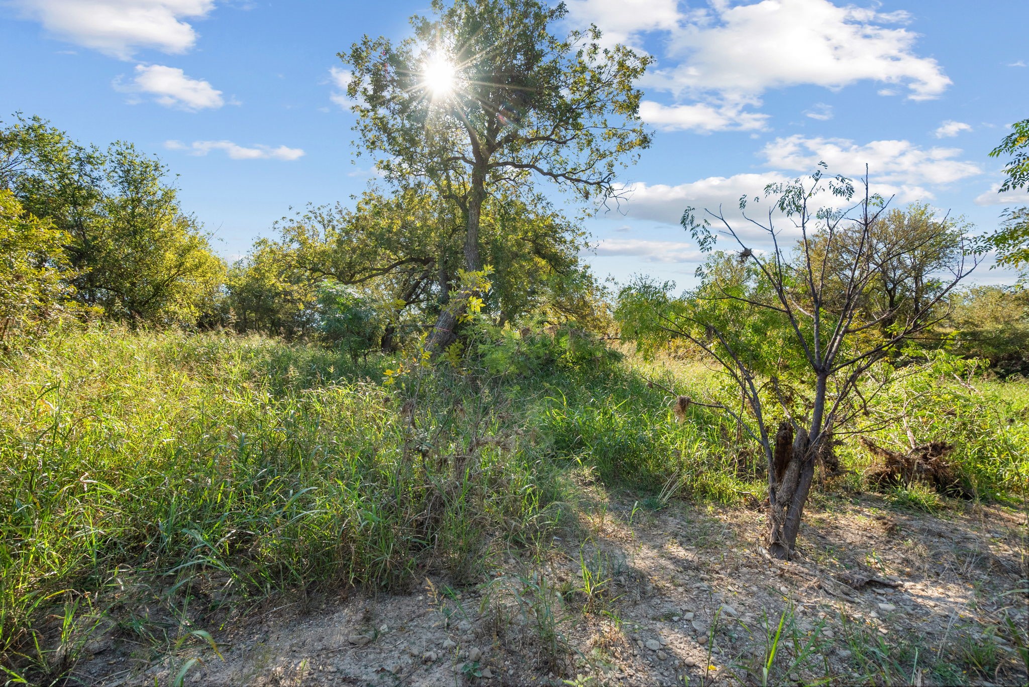 Tbd County Road 136 Coleman TX 76834