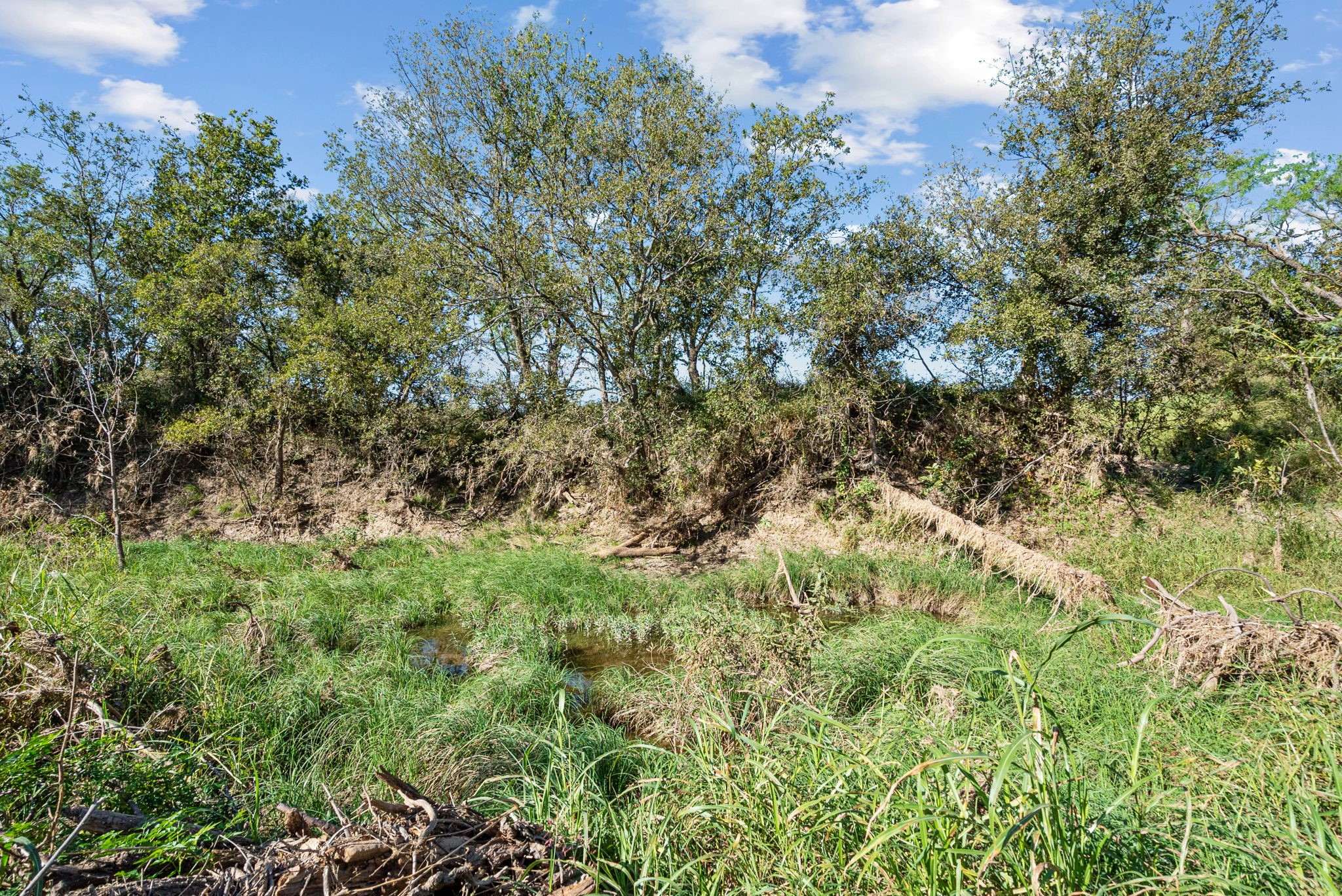 Tbd County Road 136 Coleman TX 76834