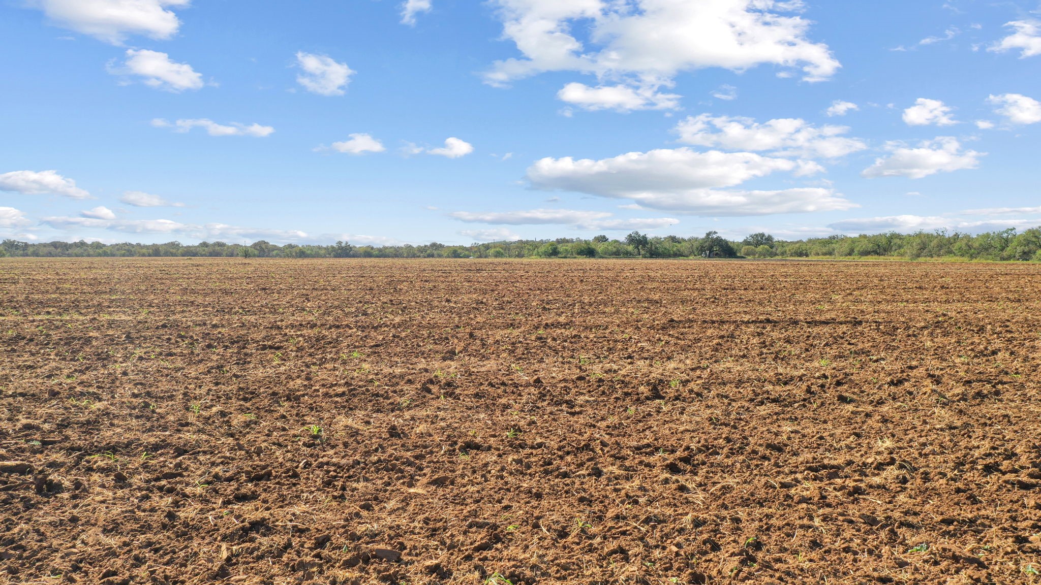 Tbd County Road 136 Coleman TX 76834