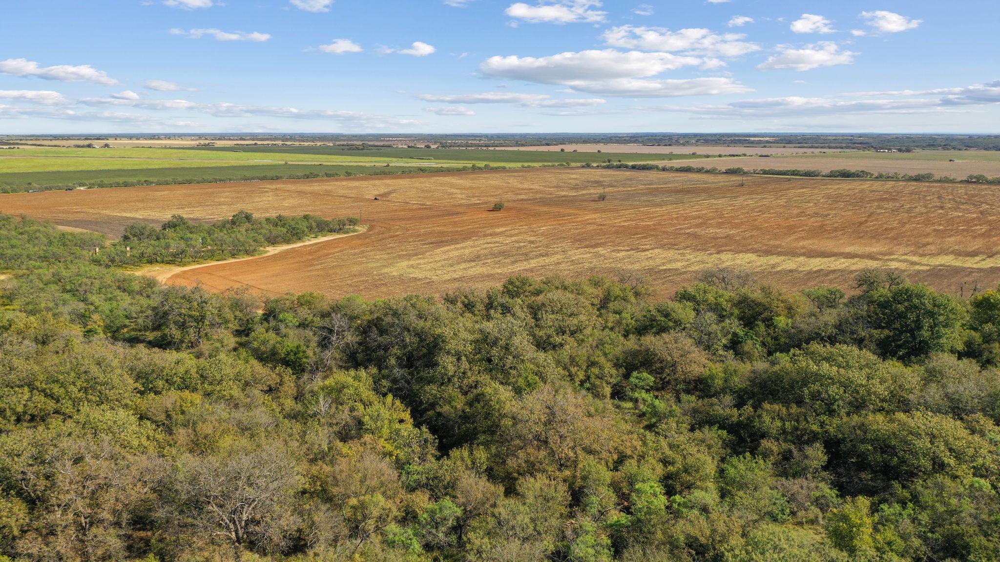 Tbd County Road 136 Coleman TX 76834