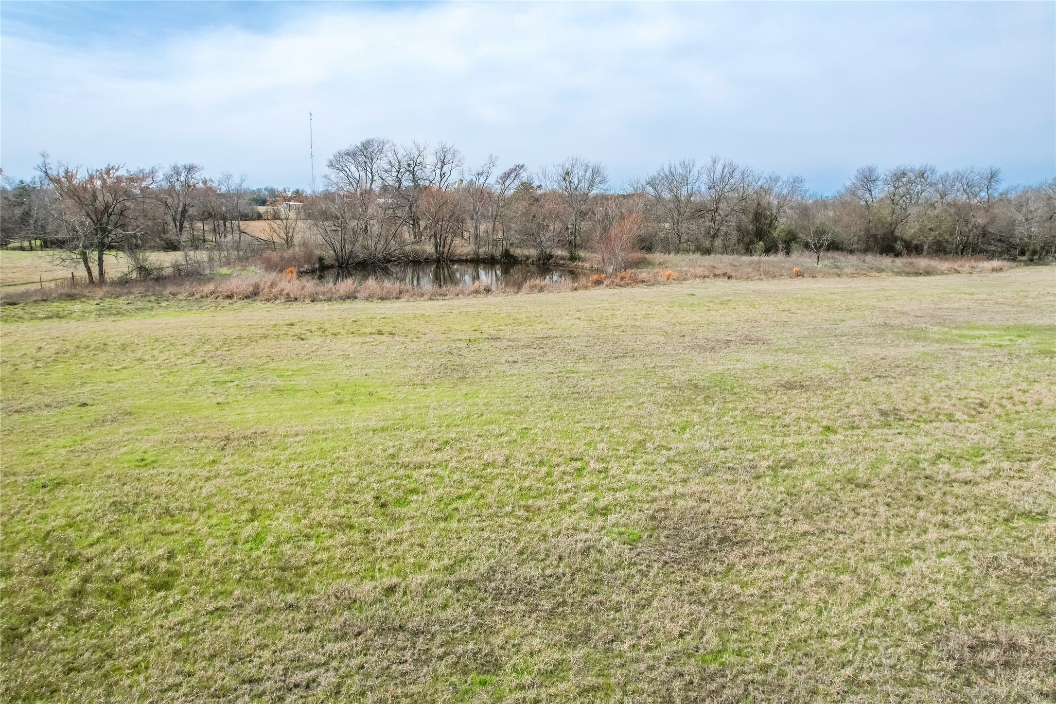 0000 County Road 236 Fairfield TX 75840