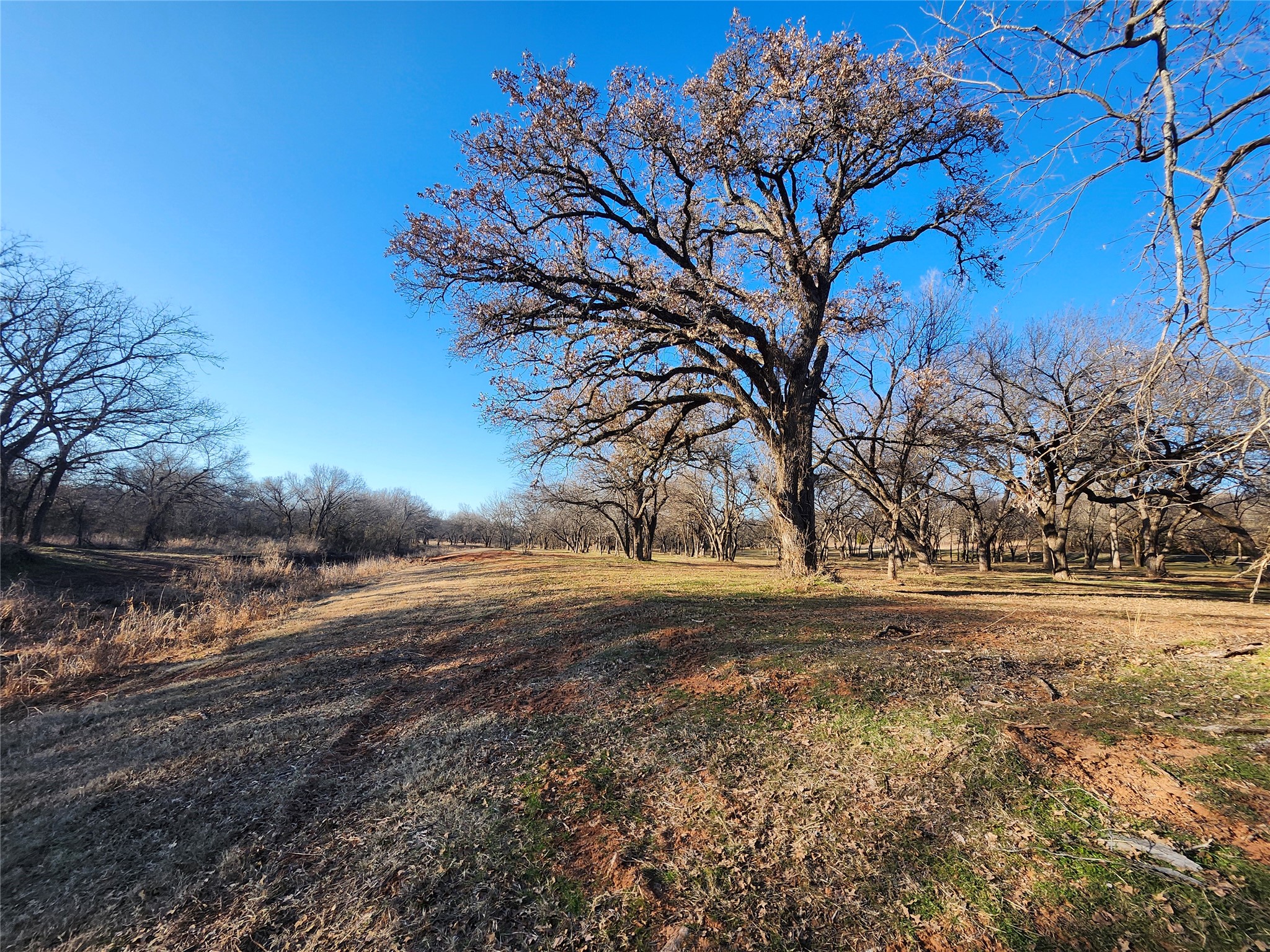 5 Vista Court Nocona TX 76255