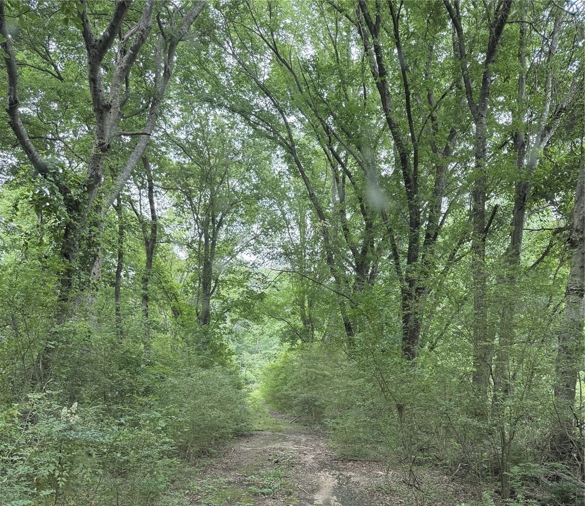 32 Acres County Road 2324 Como TX 75431