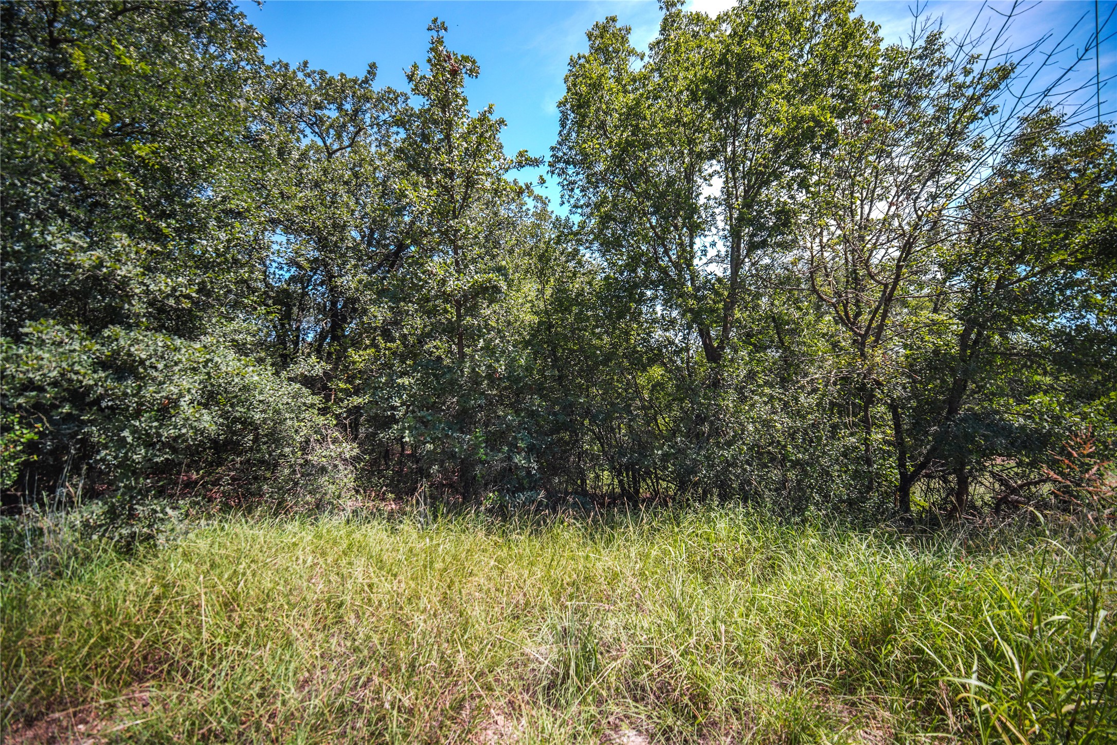 Tbd Round Hill Way Runaway Bay TX 76426