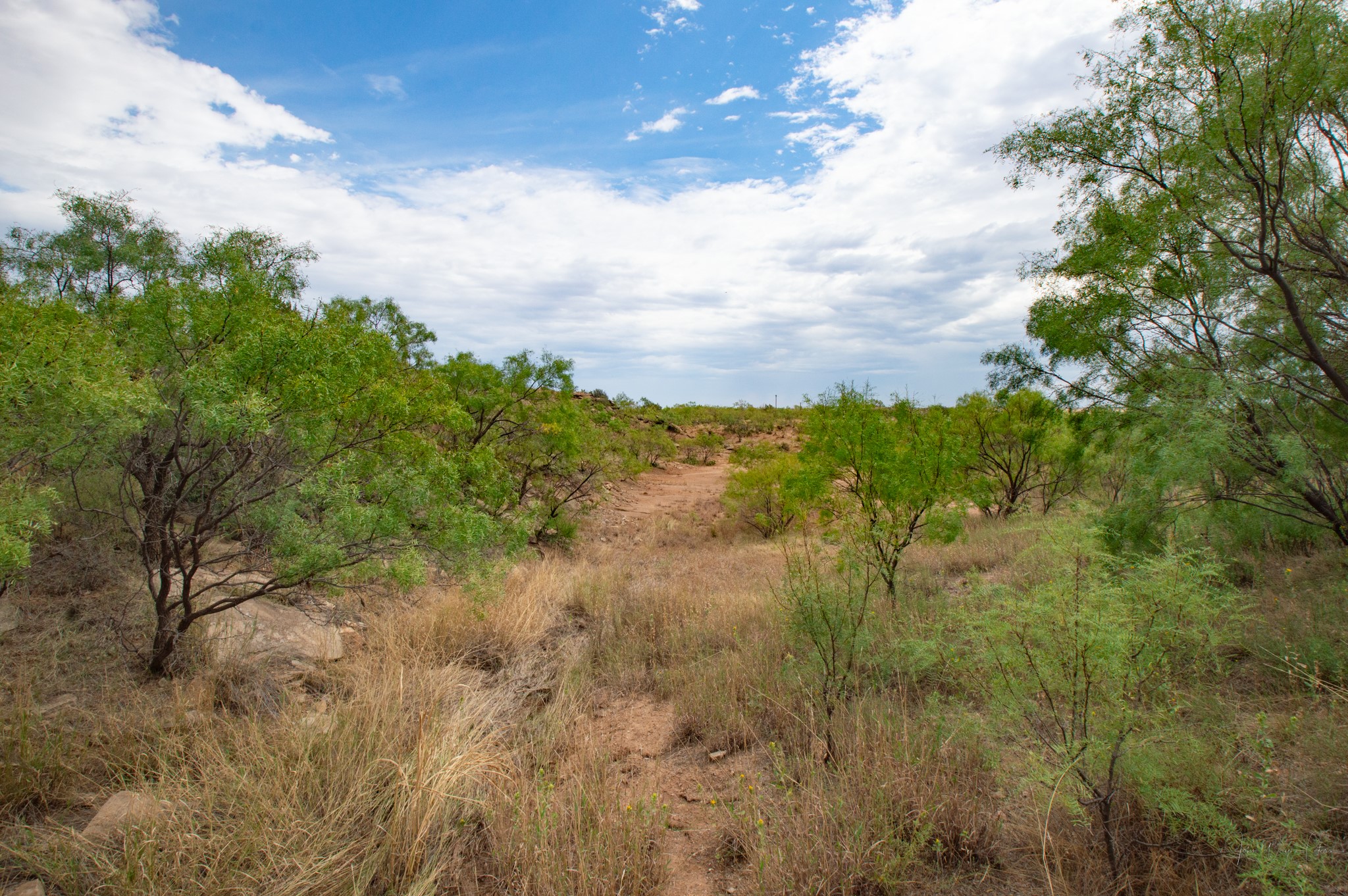 3108 County Road 125 Colorado City TX 79512