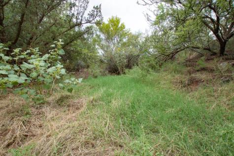 3108 County Road 125 Colorado City TX 79512