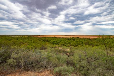 3108 County Road 125 Colorado City TX 79512