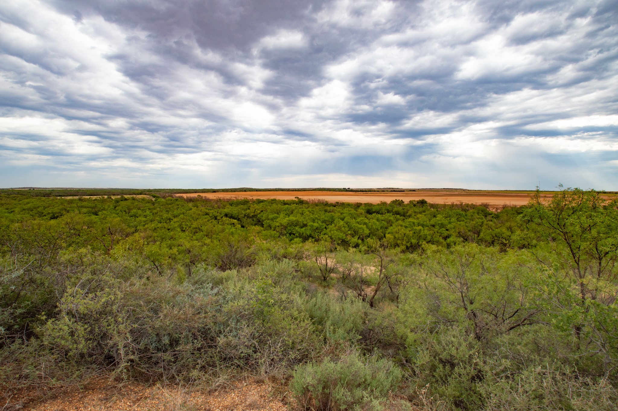 3108 County Road 125 Colorado City TX 79512