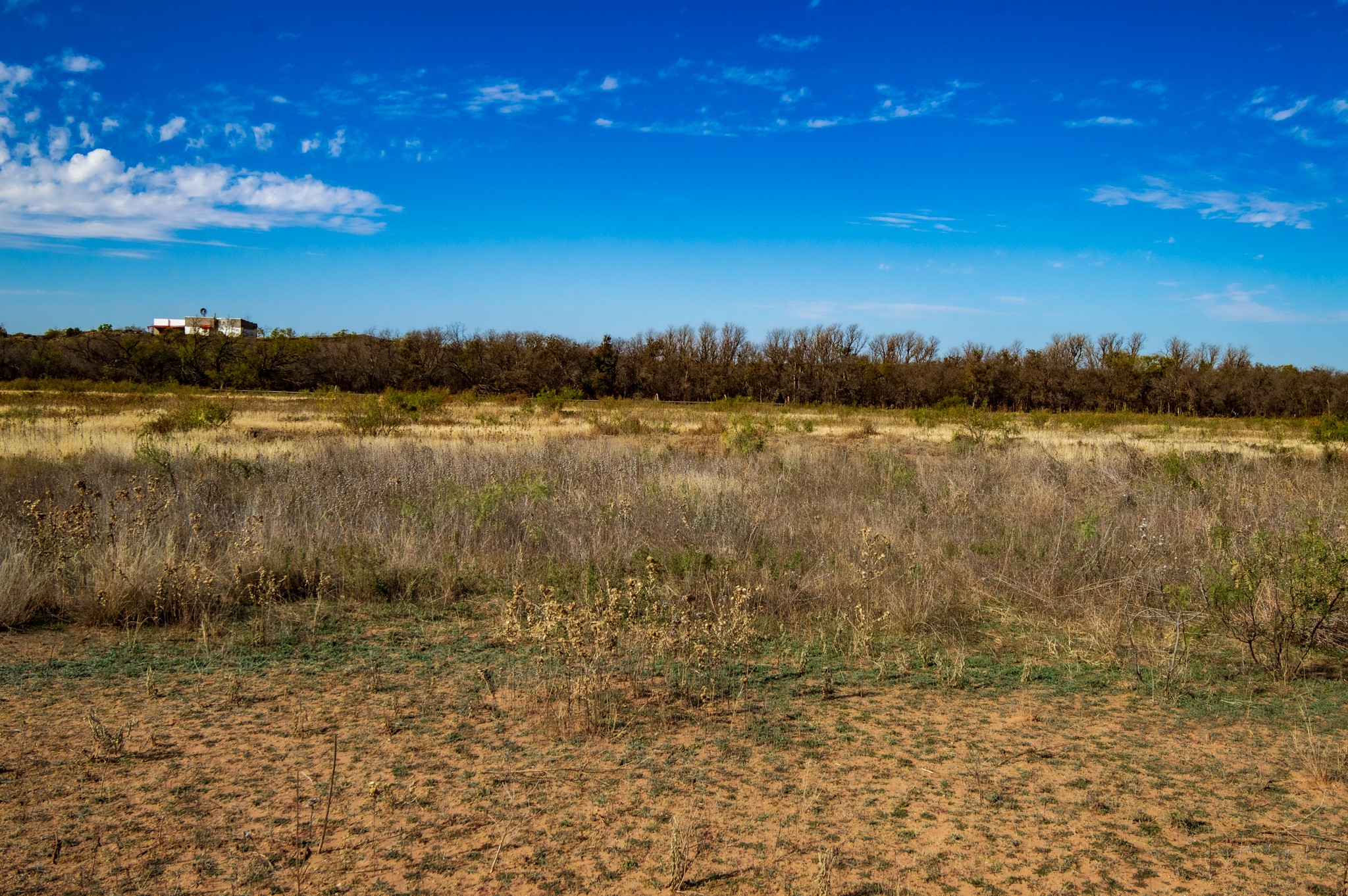 3108 County Road 125 Colorado City TX 79512