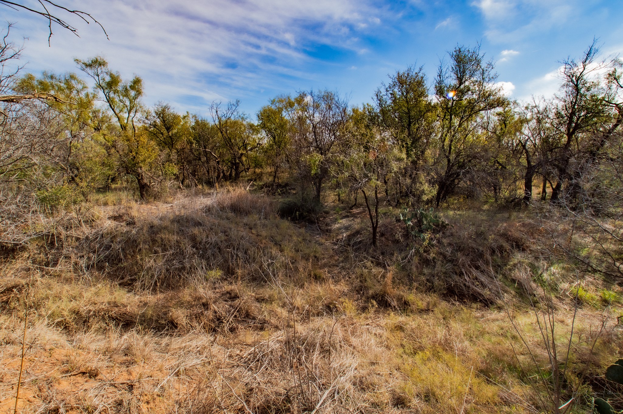 3108 County Road 125 Colorado City TX 79512