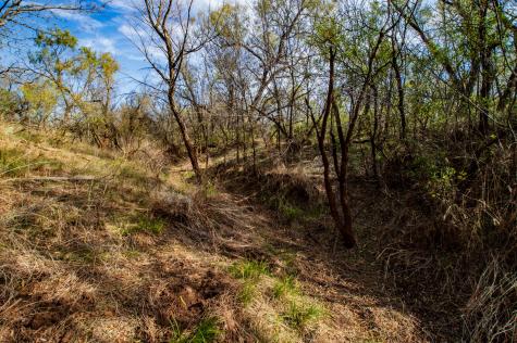 3108 County Road 125 Colorado City TX 79512