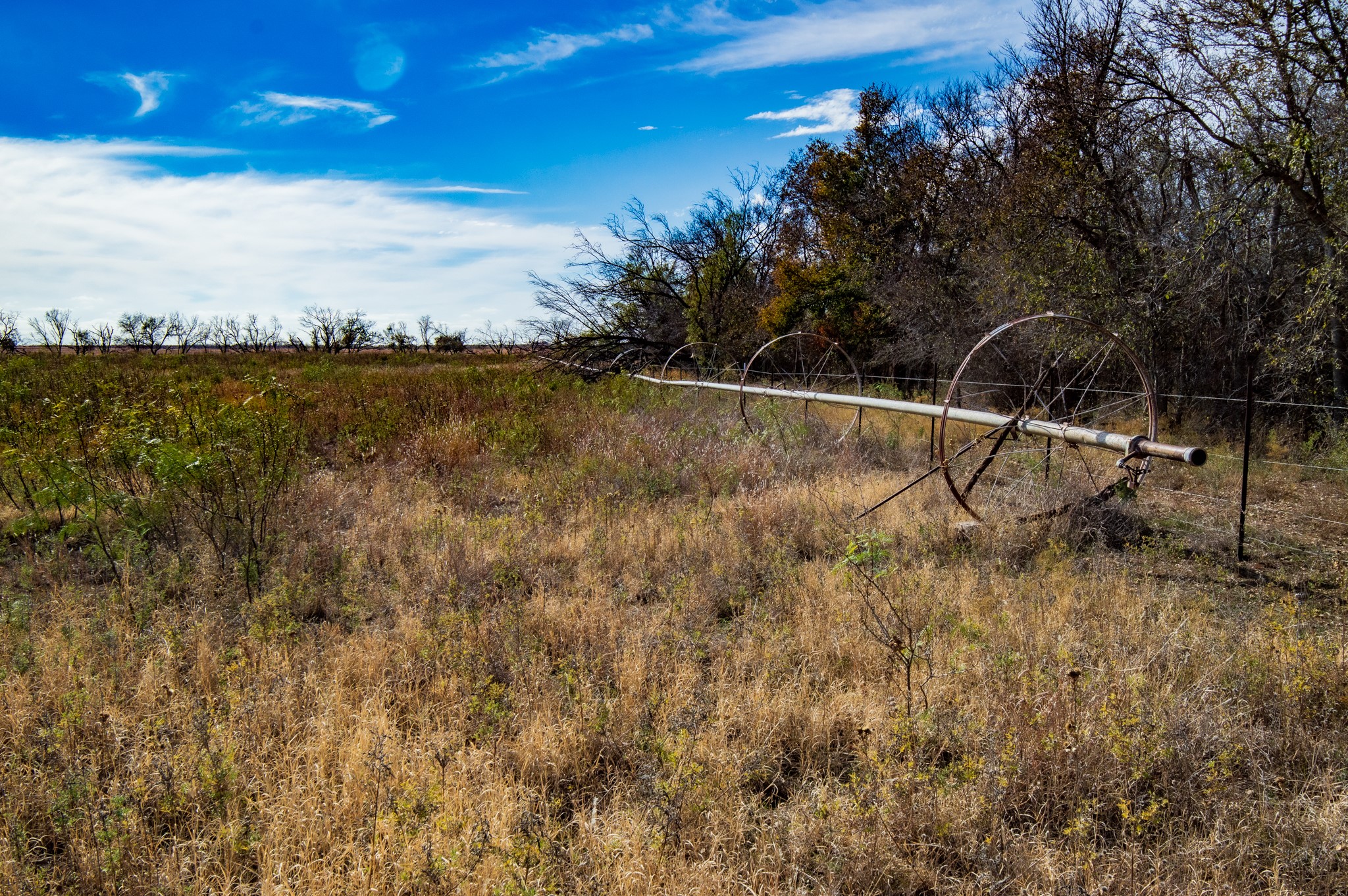 3108 County Road 125 Colorado City TX 79512