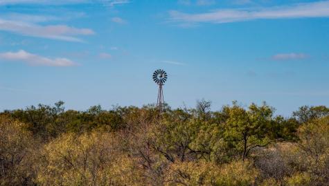 3108 County Road 125 Colorado City TX 79512