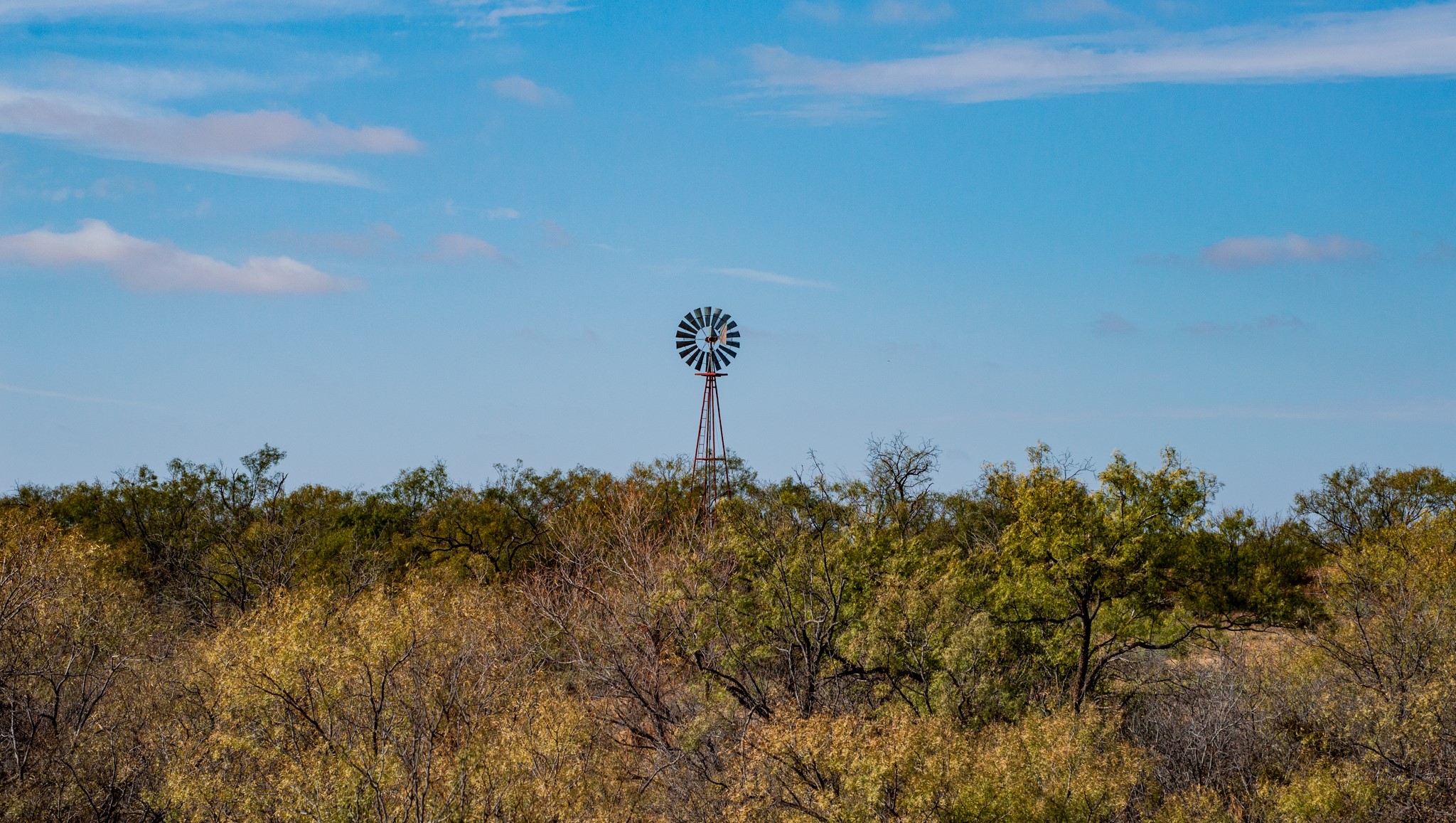 3108 County Road 125 Colorado City TX 79512
