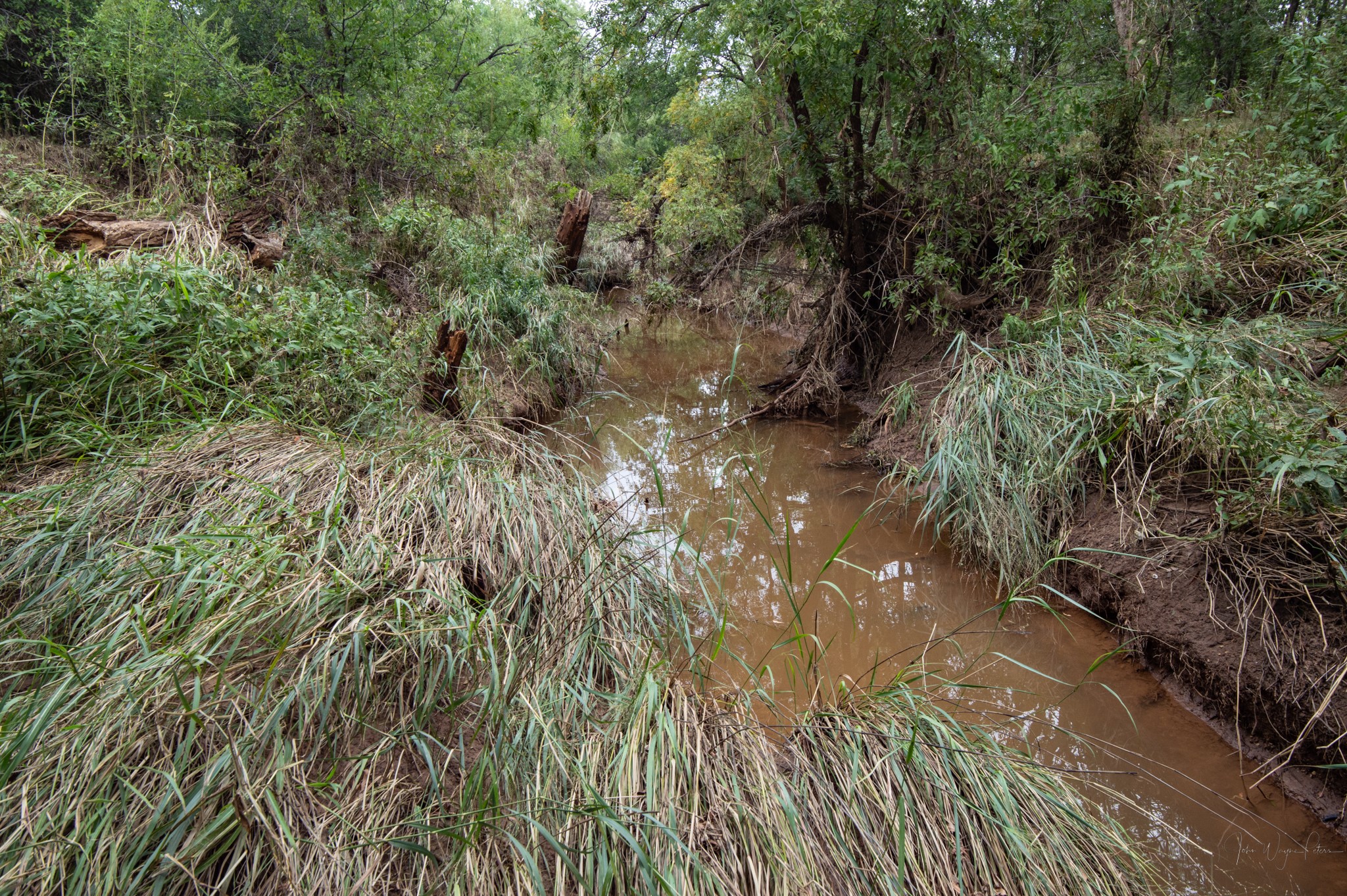 3108 County Road 125 Colorado City TX 79512