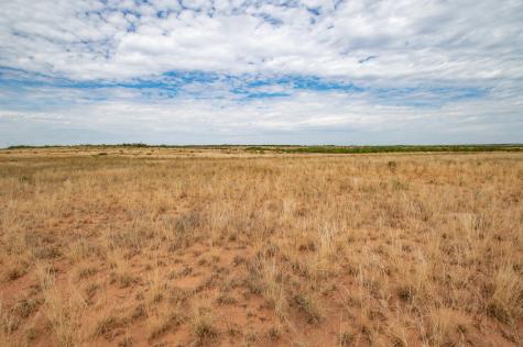 3108 County Road 125 Colorado City TX 79512