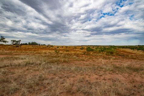 3108 County Road 125 Colorado City TX 79512