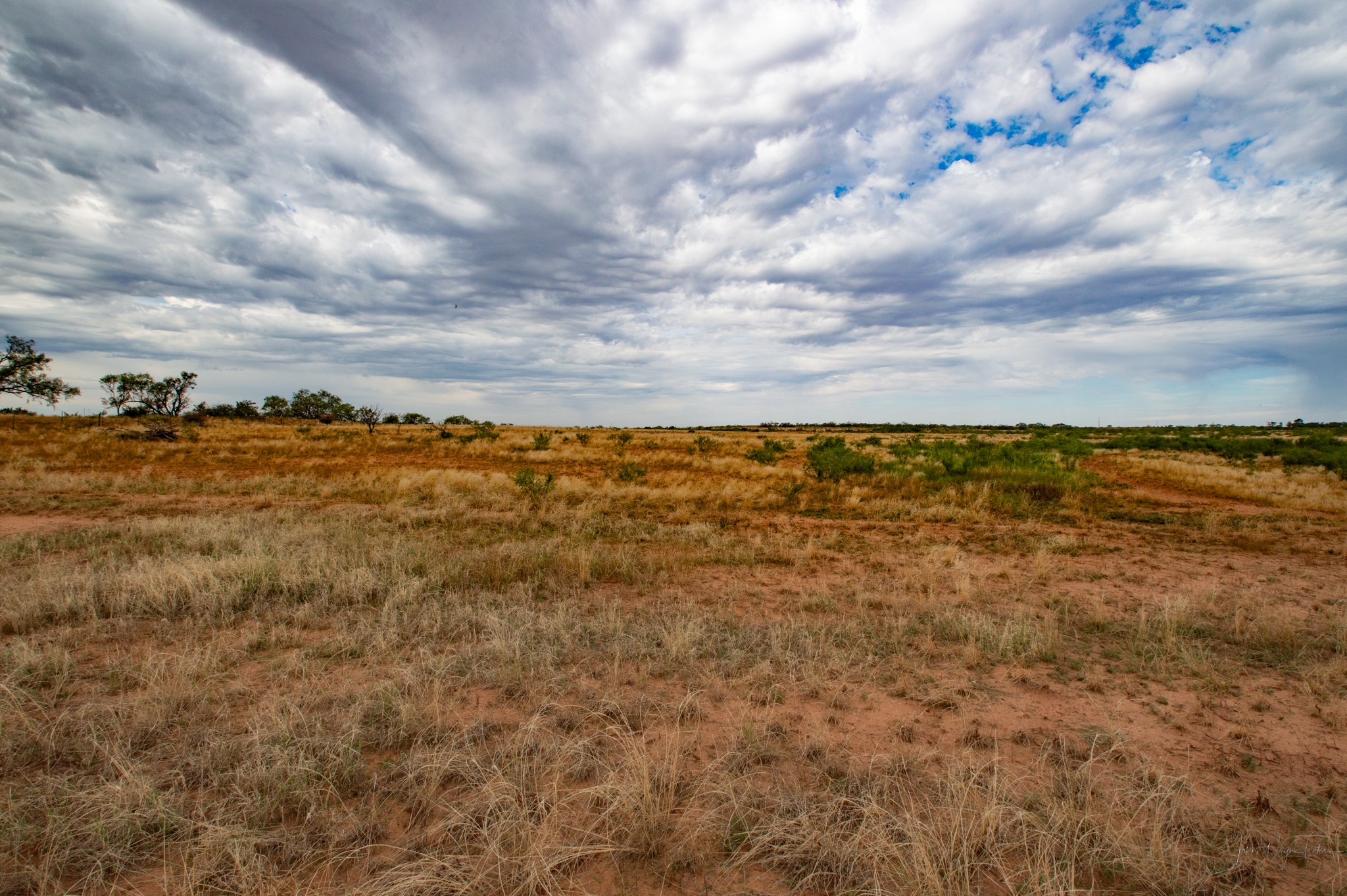 3108 County Road 125 Colorado City TX 79512