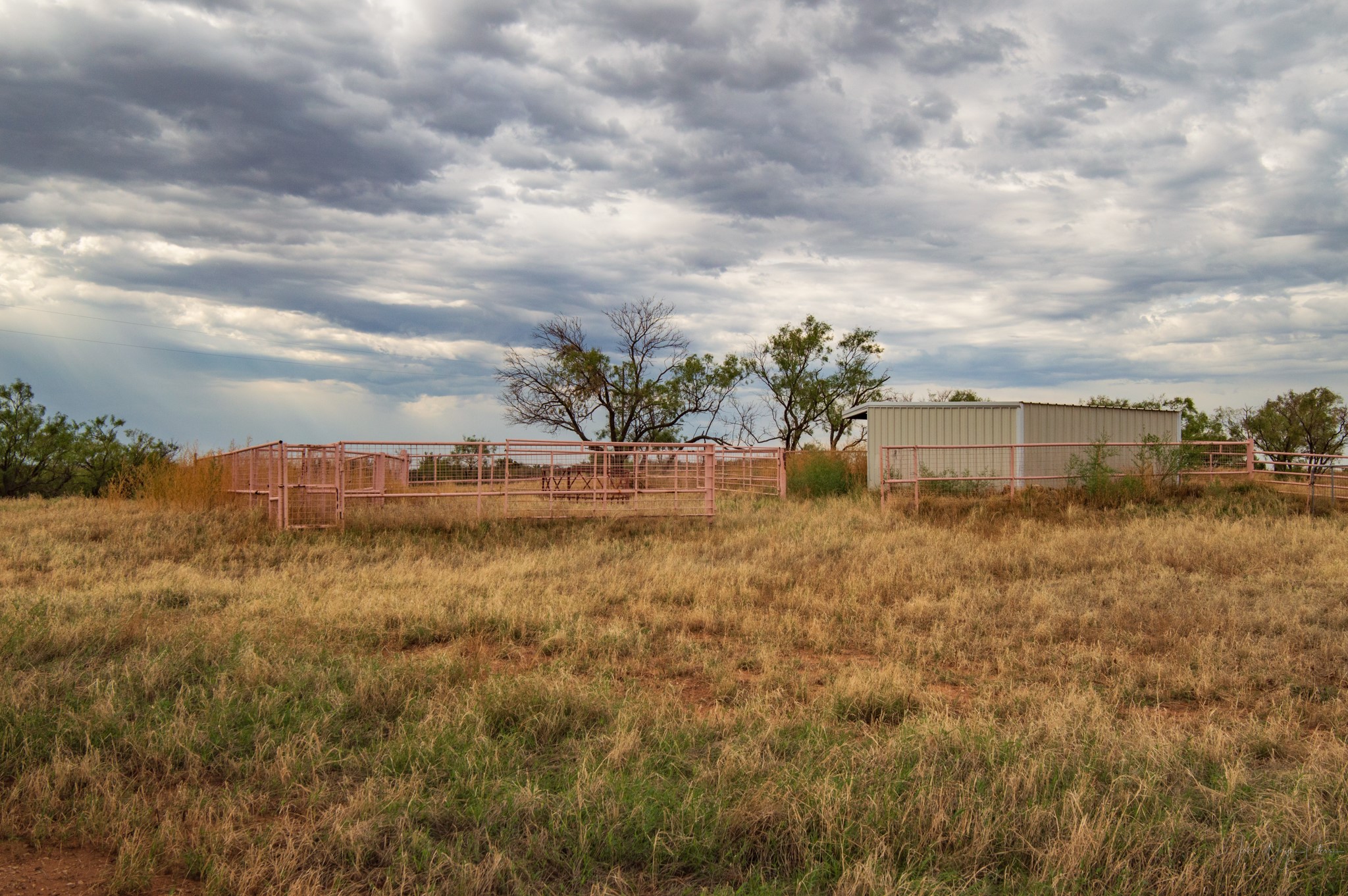 3108 County Road 125 Colorado City TX 79512