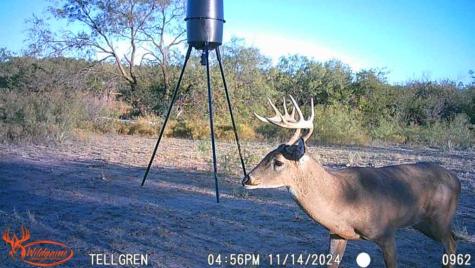 3108 County Road 125 Colorado City TX 79512