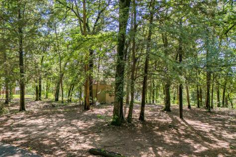 784 Camp Cypress Trail Winnsboro TX 75494
