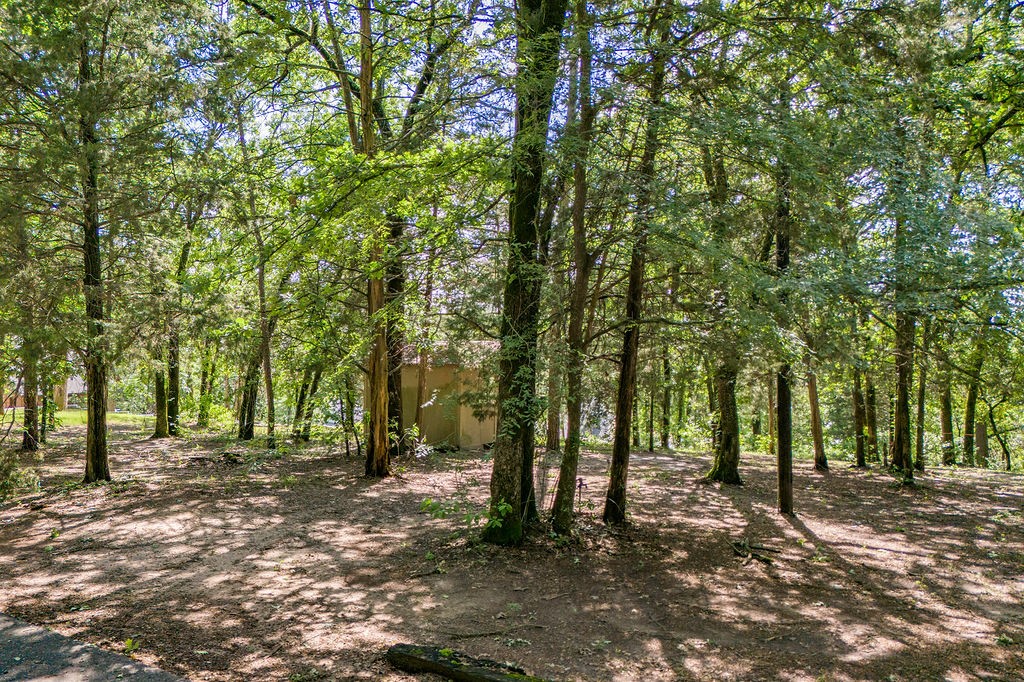 784 Camp Cypress Trail Winnsboro TX 75494